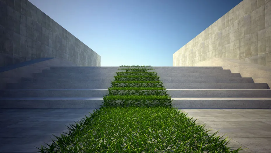Sustainability